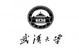 【武漢大學】空氣伊人影视大全合同
